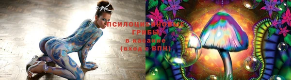кокаин премиум Арсеньев