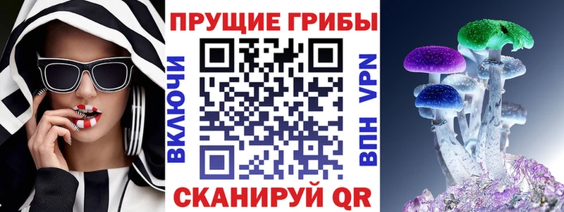 Псилоцибиновые грибы Cubensis  закладка  Нововоронеж 